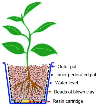 Hydroculture