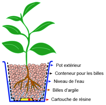 Hydroculture