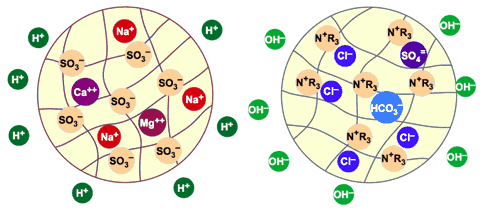 Exhausted cation and anion beads