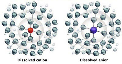 Ions in solution