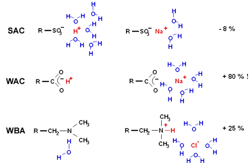 Hydratation des ions Ion hydration