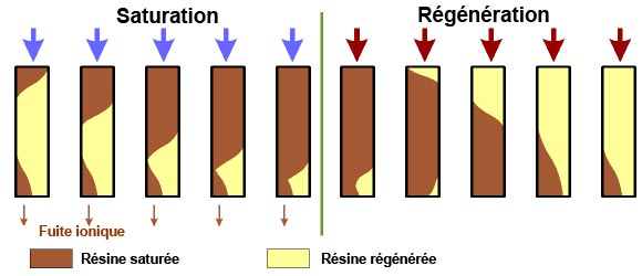 Regen co-courant