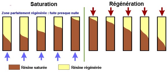 RFR2