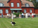 Hornsund
