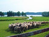 Hornsund