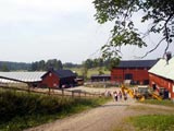Hornsund