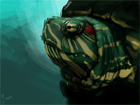 Trachemis