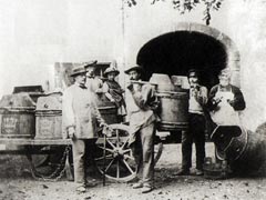Vendanges