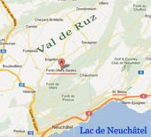 Carte de FVS