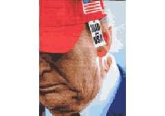 Donald Duck