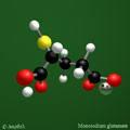 Glutamate