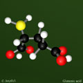 Glutamic acid