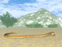 Serpiente