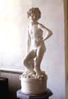 Young Bacchus