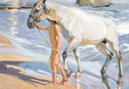 Sorolla