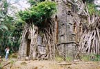 Chapel in Ross Island