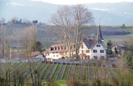 Clef de voûte